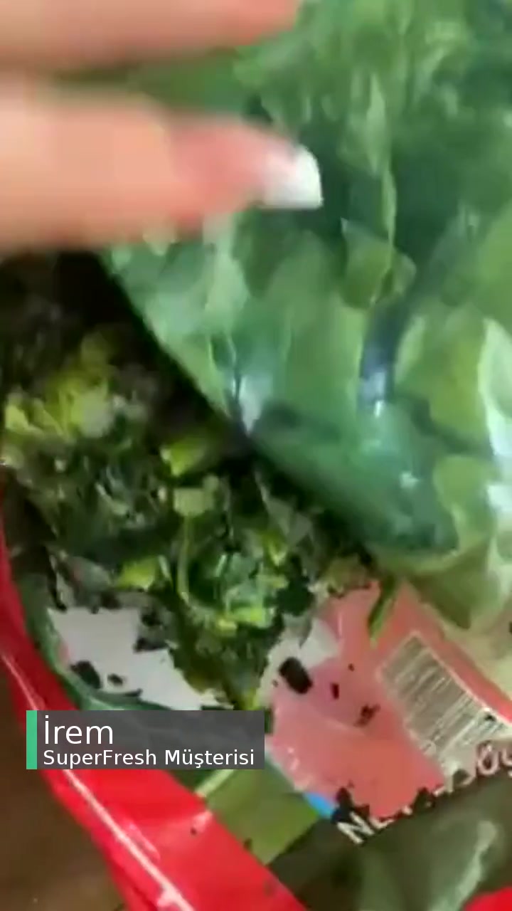 Superfresh Bozuk Ispanak videonun kapak resmi