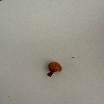 Kahve Dünyası Çikolatasında Sert Cisim Dişimi Kırdı