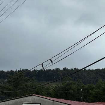 Çanakkale Bayramiç’te ADSL Altyapı Ve Hız Sorunları Çözülmedi