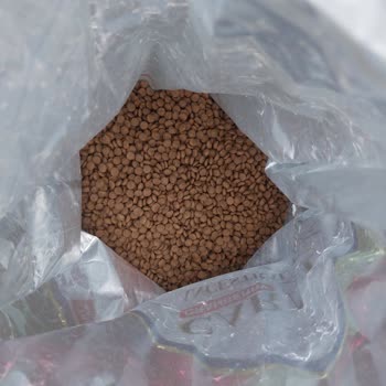 Sahte Kedi Maması: Sağlık Riski Ve İade Reddi