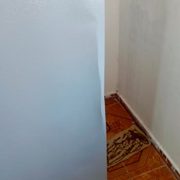 Hasarlı Buzdolabı Teslimatı Ve Servis Oyalaması İçin Değişim Ve İade Talebi