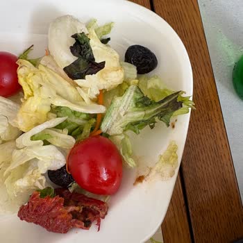 Yanmış Tavuk Ve Özensiz Salata Şikayetim