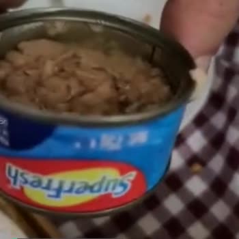 Superfresh Ton Balığının Hali!