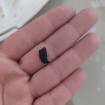Pidede Plastik Parça Bulunması Ve Restoranın Özürsüz Cevabı