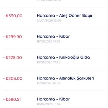 Ticket Restaurant Bakiyemin Eksilmesi