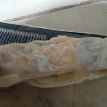 Beşler Tavuk Döner Dürümde Küf: Sağlık Riski Ve Güven Kırılması