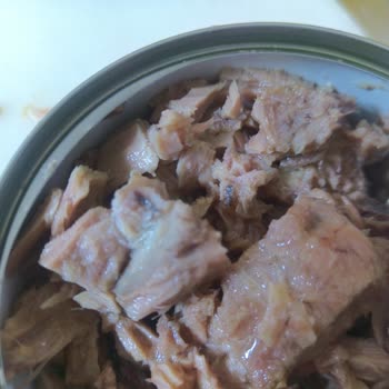 Şok Market Ton Balığında Yabancı Maddeler Ve Siyahlıklar Gıda Güvenliğini Tehdit Ediyor