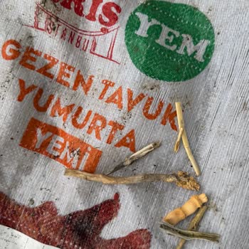 Yem Çuvallarında Yabancı Cisimler Ve Odun Parçaları Bulunması