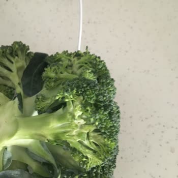 Beko Buzdolabımda Sürekli Donma Ve Çözülme Sorunu Çözüm Bekliyorum