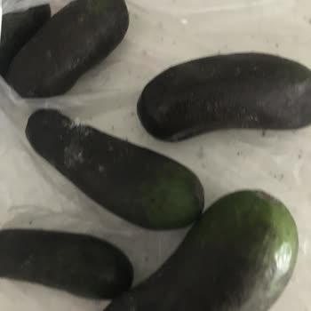 Beko Buzdolabımda Sürekli Donma Ve Çözülme Sorunu Çözüm Bekliyorum