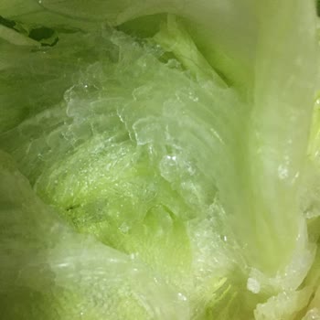 Beko Buzdolabımda Sürekli Donma Ve Çözülme Sorunu Çözüm Bekliyorum