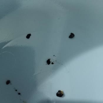 Efsane Un Paketinde Kömür Benzeri Yabancı Maddeler Bulunması Ve İade Talebi