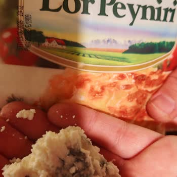 Muratbey Lor Peynirinde Küf Sorunu Ve Sağlık Endişesi