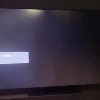 LG 55 İnç TV’de Görüntü Sorunu Ve Hızlı Değişim Talebi