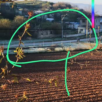 Sigorta Şirketi Kırağı Zararını Kapsam Dışı Olarak Değerlendirdi