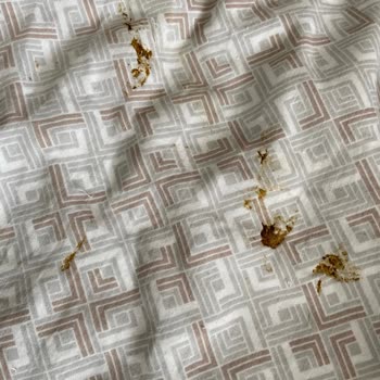 Domuz Proteinli Kedi Maması Kedilerde İshal Ve Kusma Yarattı, İade Talebi