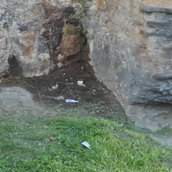 Mehmet Akif Ersoy Parkı’nda Alkol Ve Madde Kullanımıyla Güvenlik Krizi Ve Haksız Ceza