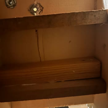 Vivense Koltuğunda Üç Yıllık Kullanımda Alt Takım Kırıldı, Servis Yok