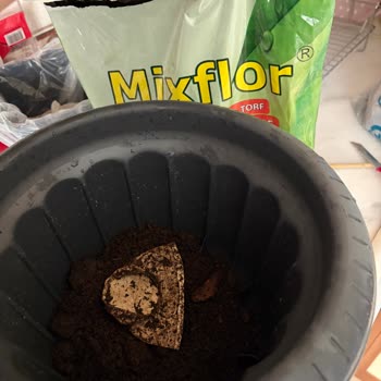 A101 Bitki Toprağında Plastik Çöp Bulunması Hijyen Ve Güven Sorunu