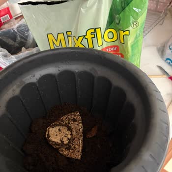 A101 Bitki Toprağında Plastik Çöp Bulunması Hijyen Ve Güven Sorunu