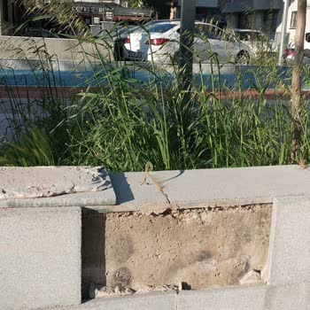 Buca Yürüyüş Parkurunda Duvar Taşları Dökülüyor Ve Bakım Eksikliği