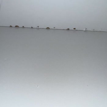 Defolu Köşe Koltuk Takımı Ve Koçtaş’tan Yanıt Gelmeyen Müşteri Hizmetleri