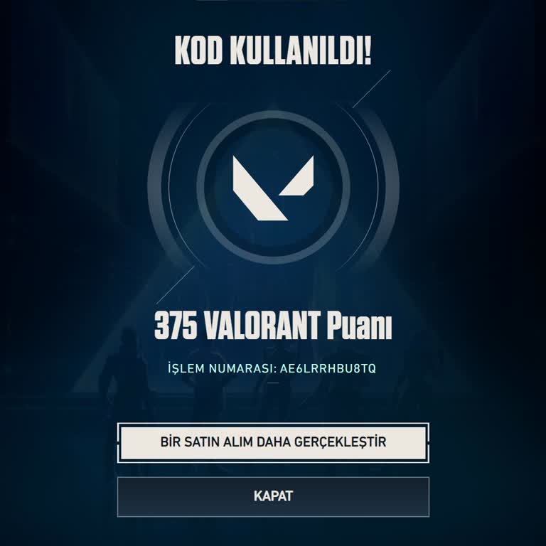 Pinly'den 2900 Vp Eksik Yüklendi Ve Destek Yanıt Vermedi