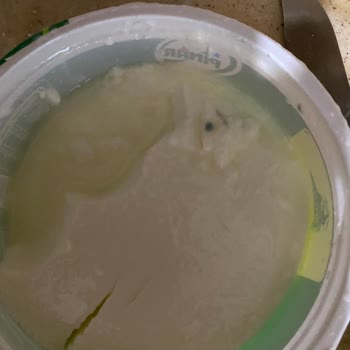 Sağlık Riski Oluşturan Son Kullanma Tarihi Geçmemiş Yoğurtta Küf Benzeri Oluşumlar