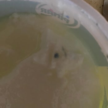 Sağlık Riski Oluşturan Son Kullanma Tarihi Geçmemiş Yoğurtta Küf Benzeri Oluşumlar