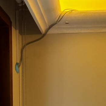 Turkcell Superonline'da Hatalı Kablo Ve Cevapsız Randevu Nedeniyle Yağmur Suyu Evi Dolduruyor