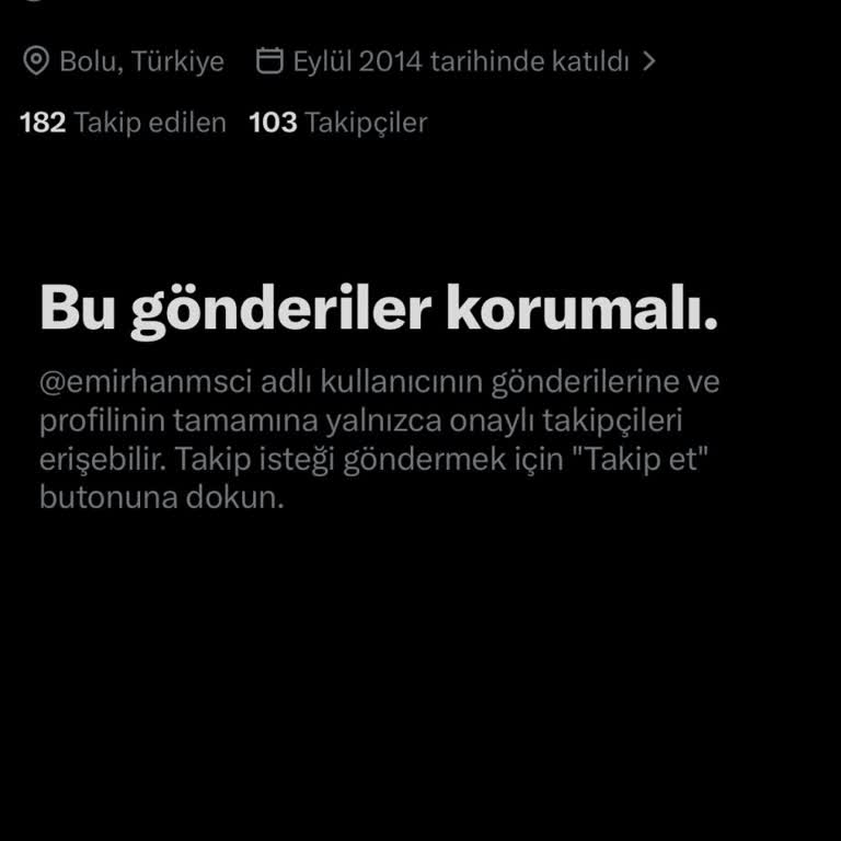 Hesabım Ele Geçirildi, Giriş Yapamıyorum Ve Destek Yanıtı Gelmedi