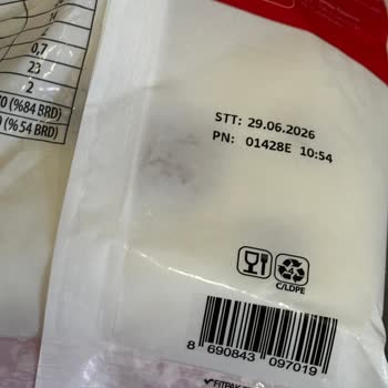 Süre Dolmamış Mozerella Peynirinde Küf