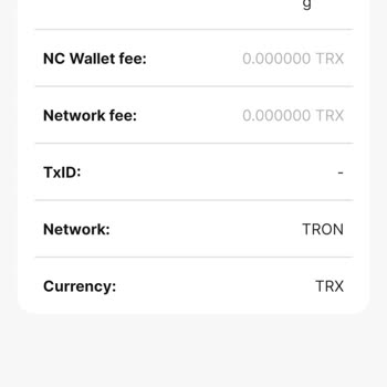 Nc Wallet Param Askıya Alındı Ve Transfer Gerçekleşmedi