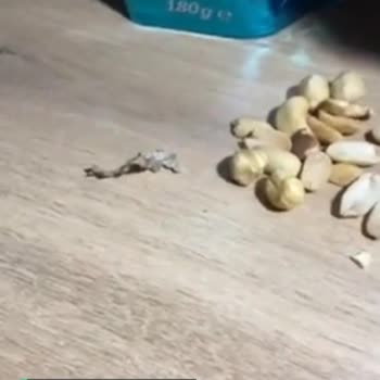 Tadım Gıda Yetkililer Buraya Baksın!