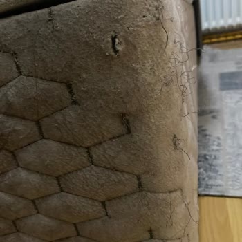 Pati Dostu Yatak Kumaşı Parçalandı Ve Bambi'den Cevap Alınamadı