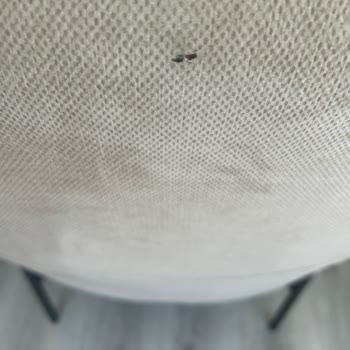 Hasarlı Sandalye Ve Berjer Değişimi İçin Mağazadan Cevap Gelmedi