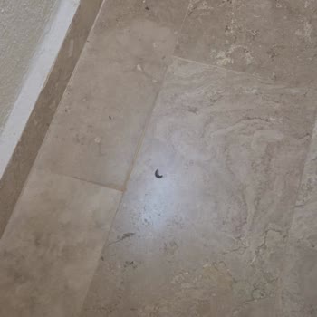 Sitede Gösterilen Oda Gerçekle Uyuşmadı Ve Hijyen Sorunu