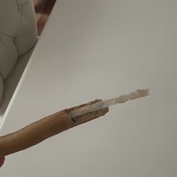 Harras Galetasının İçindeki Plastik Kelepçe Gıda Güvenliğini Tehlikeye Atıyor
