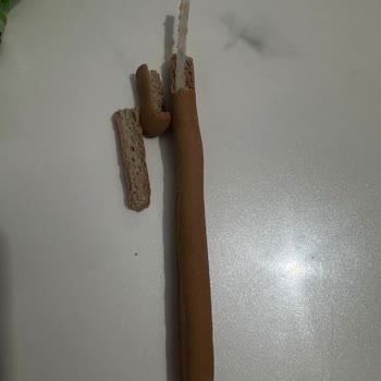Harras Galetasının İçindeki Plastik Kelepçe Gıda Güvenliğini Tehlikeye Atıyor