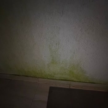 Green Hills Suites'te Sağlıksız Havuz, İade Reddi Ve Hizmet Çöküşü