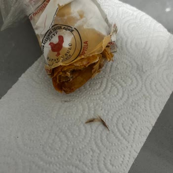 Dönerde Tüy Tespiti Hijyen İhlali Ve İade Talebi