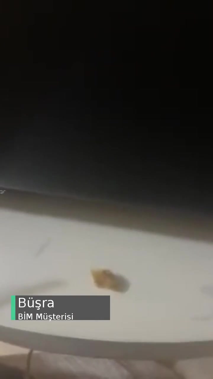 BİM Mısırın İçinden Ne Çıktı? videonun kapak resmi