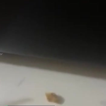 BİM Mısırın İçinden Ne Çıktı?
