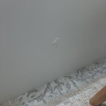 Çatlak Vitrin Kitaplık Ve Saygısız Mağaza Personeli