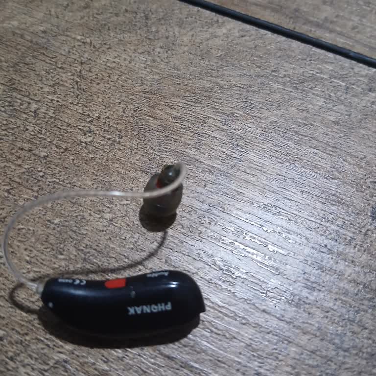 Phonak Audeo P50 Cihazlarımda Sürekli Vızırtı Sesine Çözüm Talebi