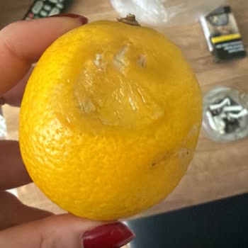 Sepette 2 Kg Limon Yerine 2 Çürük Limon Ve Çözüm Sunmayan Müşteri Hizmeti