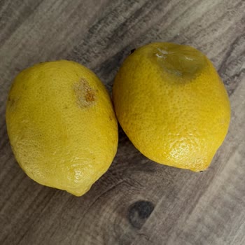 Sepette 2 Kg Limon Yerine 2 Çürük Limon Ve Çözüm Sunmayan Müşteri Hizmeti