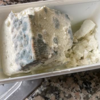 Sütaş Beyaz Peynirin Küflenmesi Ve Kötü Kokusu: İade Talebi