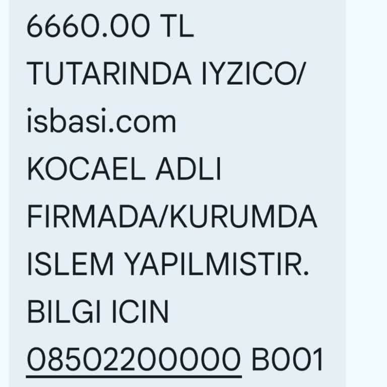 Logo İşbaşı İzinsiz Kredi Kartı Yenilemesi Ve 6.660 TL Tahsilatın Geri Ödemesi