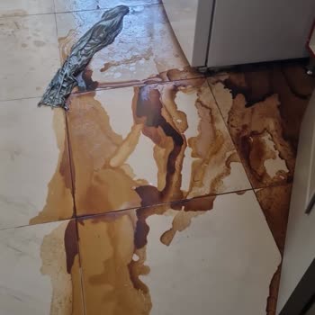 Arçelik Buzdolabının Yüksek Sıcaklık Uyarısı Ve Çalışmama Sorunları Nedeniyle Ürün Değişimi İsteği